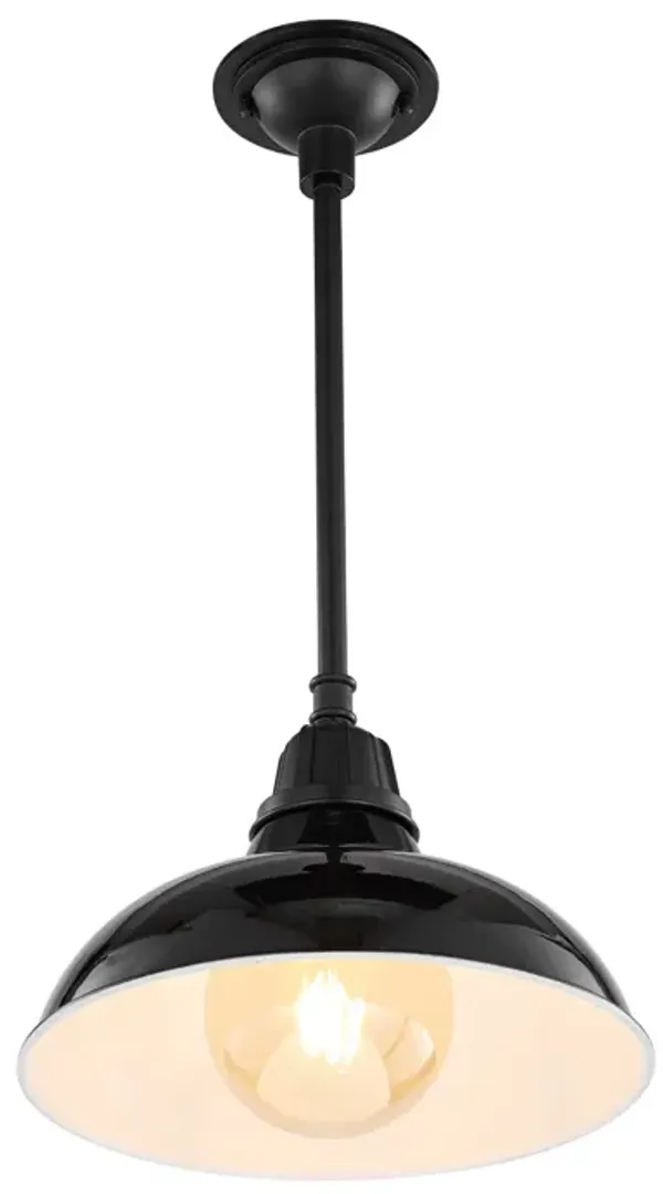 Jasper 12.25" 1-Light Farmhouse Industrial Indoor/Outdoor Iron LED Pendant