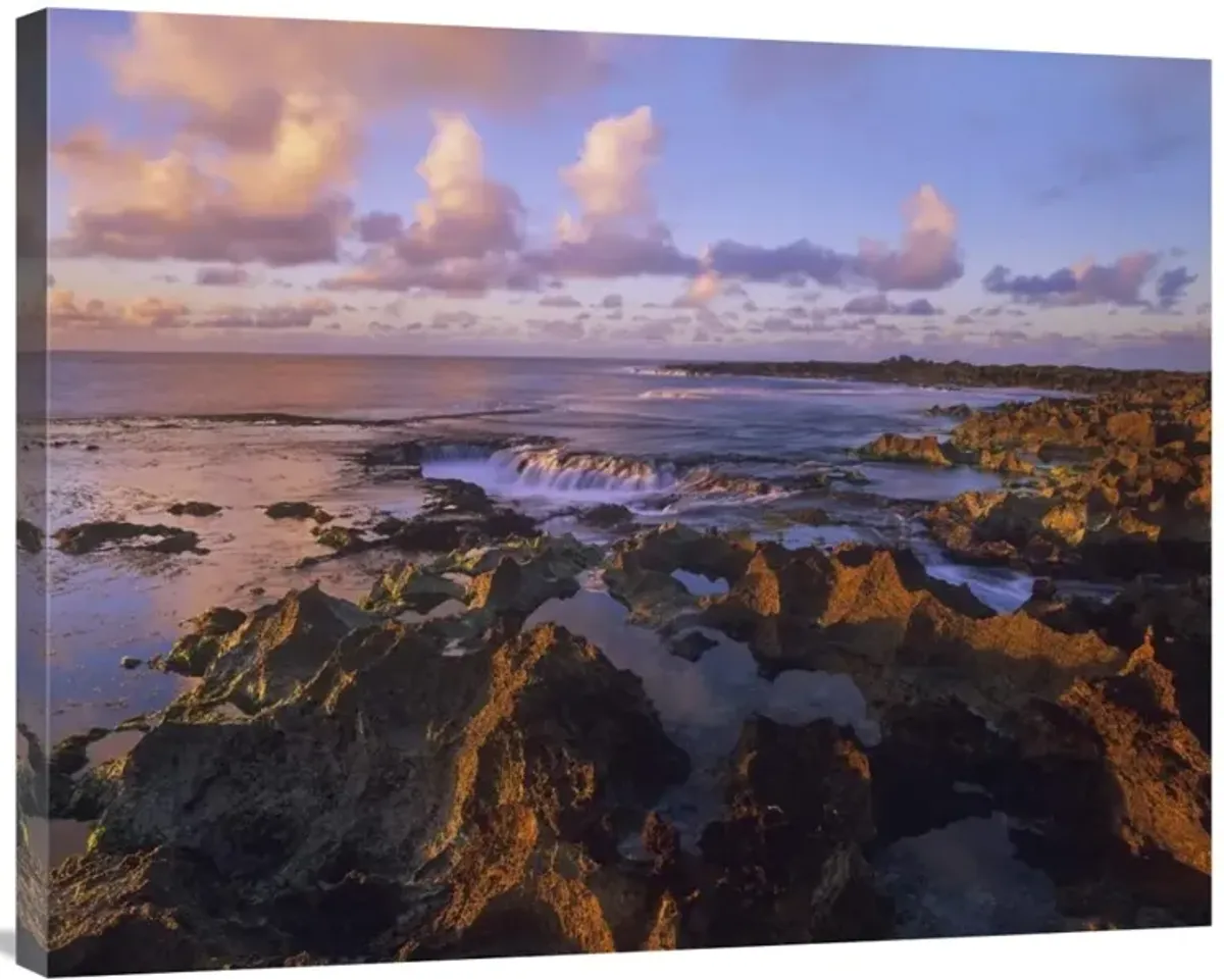 Dusk at Sharks Cove, Oahu, Hawaii-Canvas Art-35x28