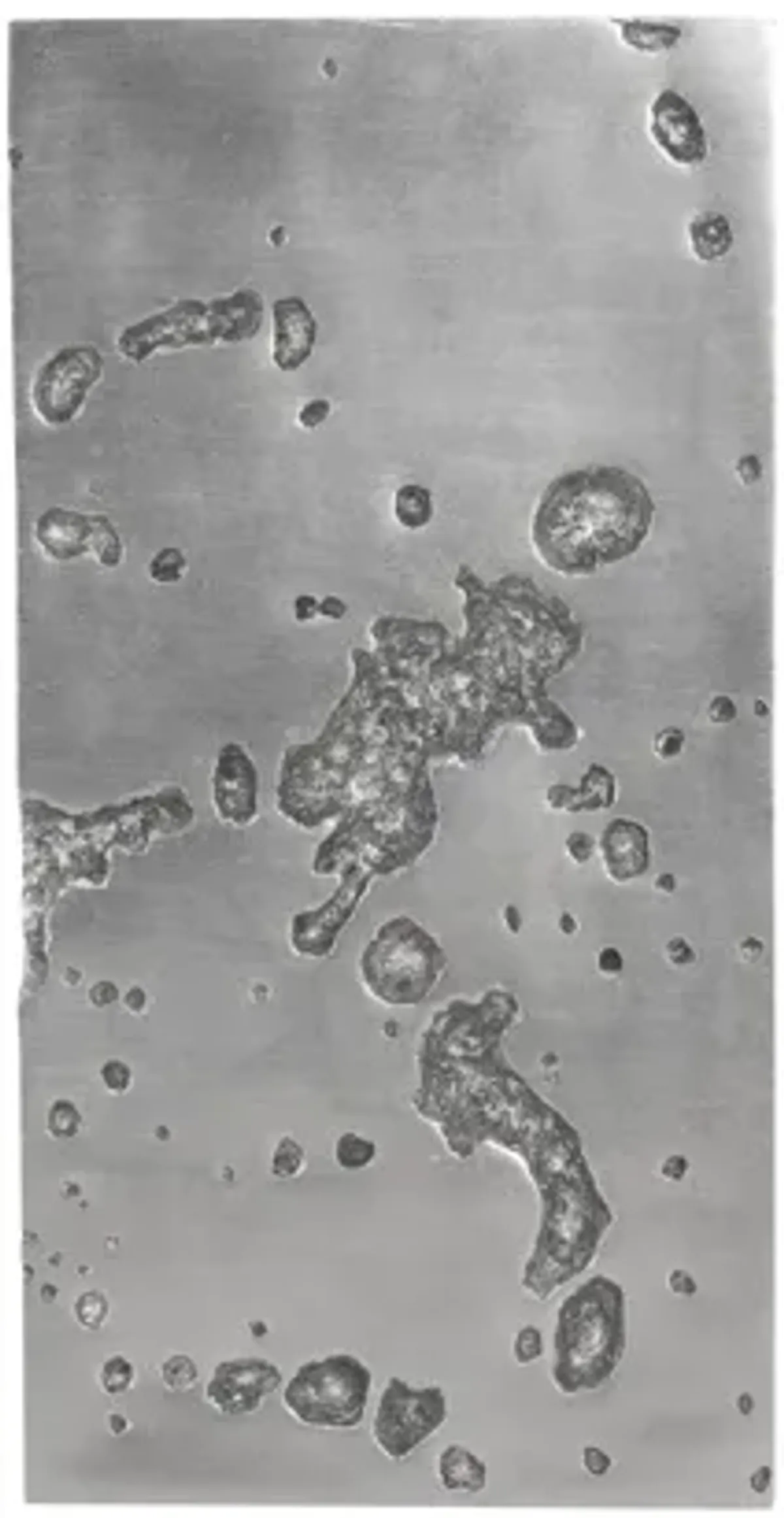 Splotch Rectangle Wall Art B