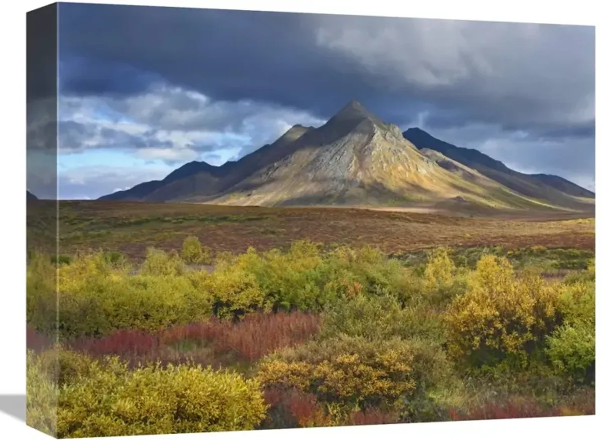 Ogilvie Mountains, Tombstone Territorial Park, Yukon, Canada-Canvas Art-16x12
