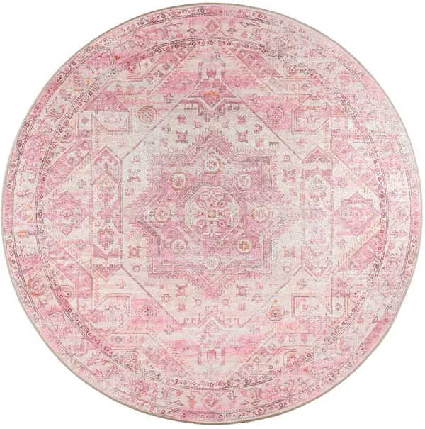 Jericho JC5 Rose 10' Rug