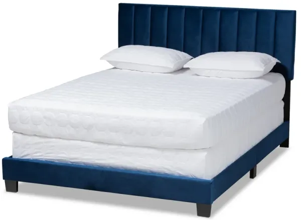 Baxton Studio Clare Velvet Upholstered Queen Size Panel Bed with Channel Tufted Headboard
