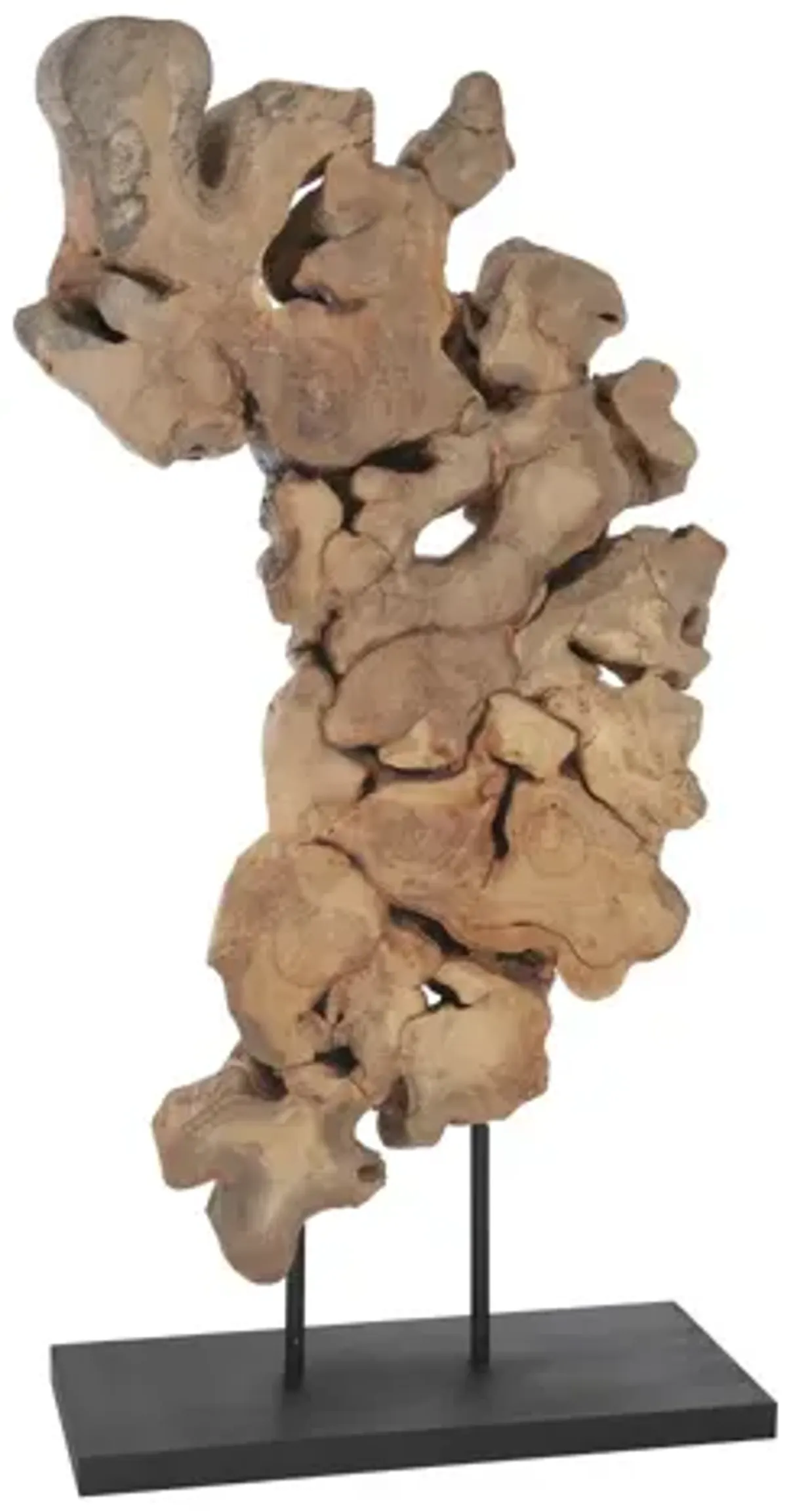 Pipal Wood Sculpture