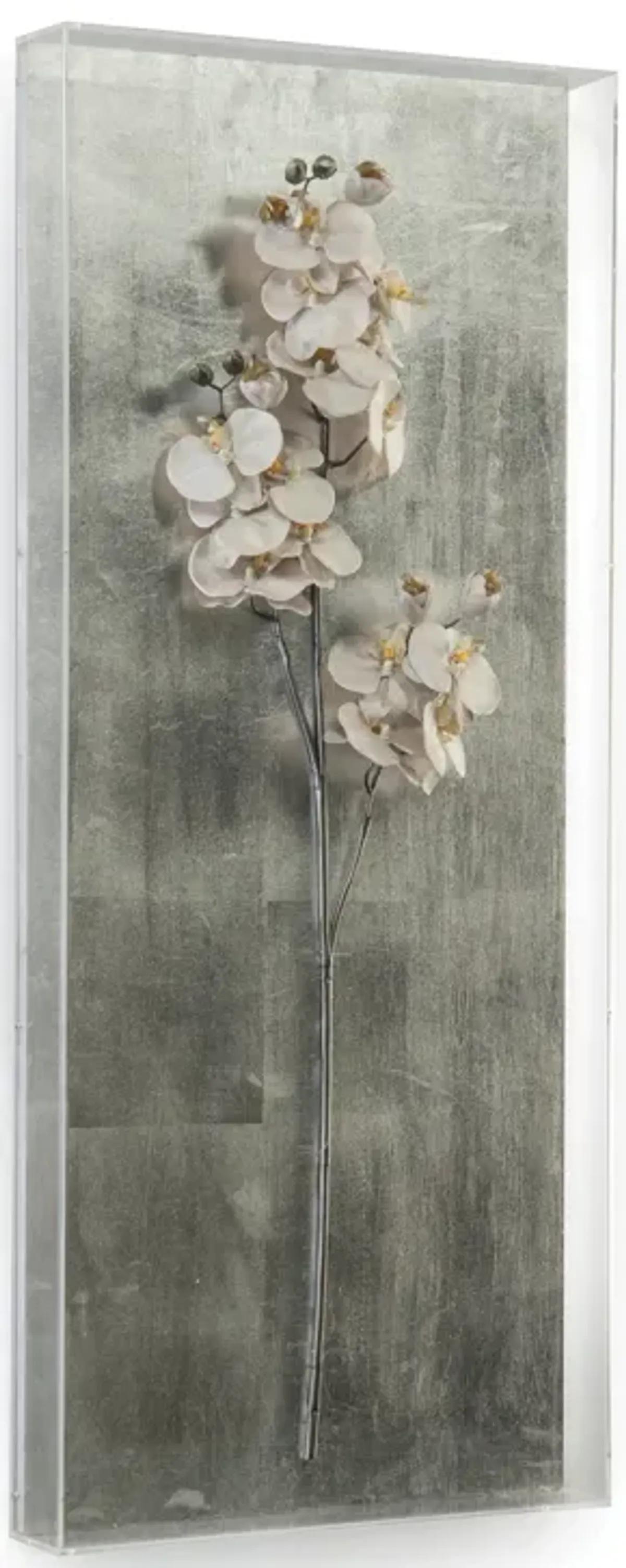 Silver Orchid II