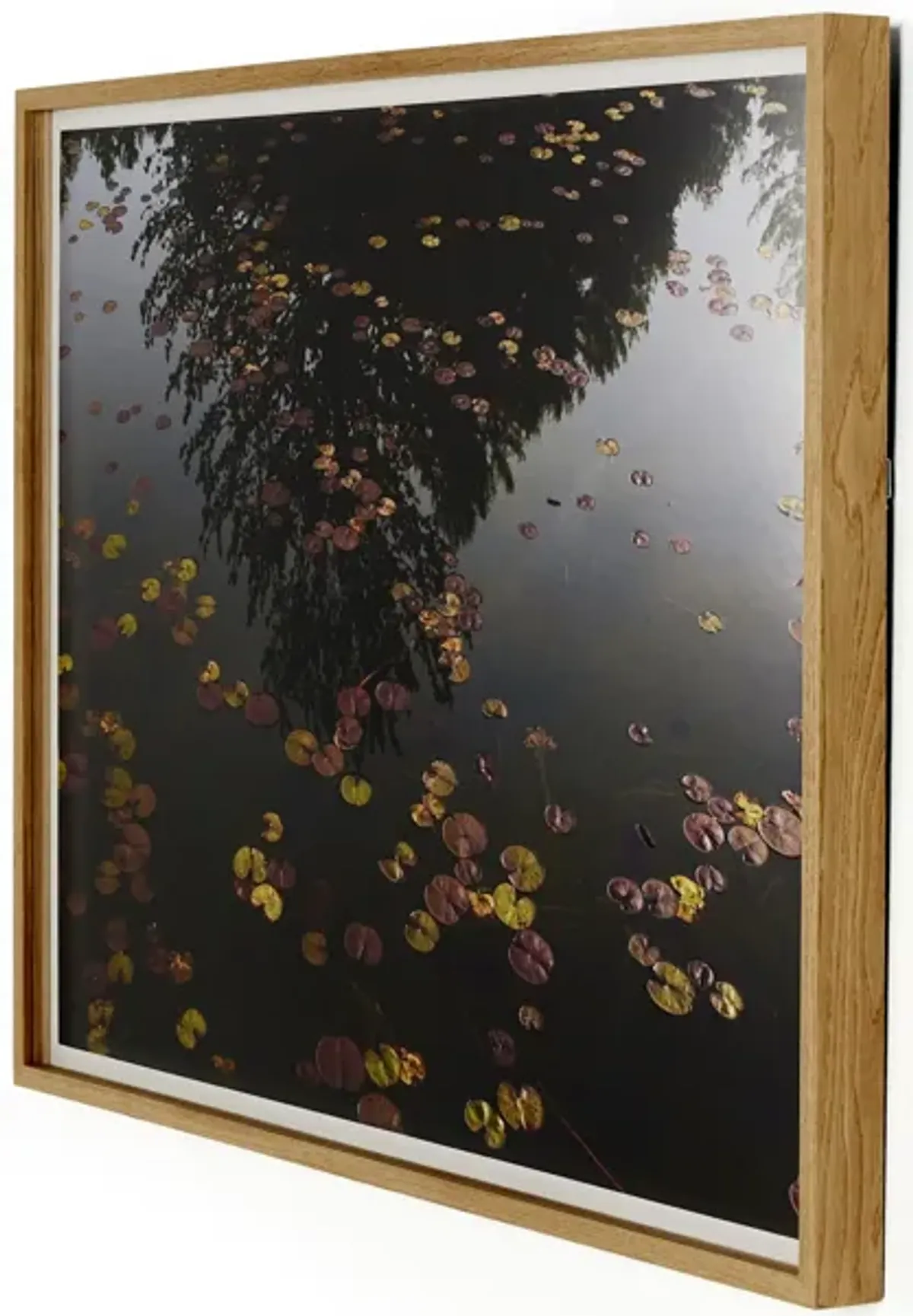 Echo By Shade Degges