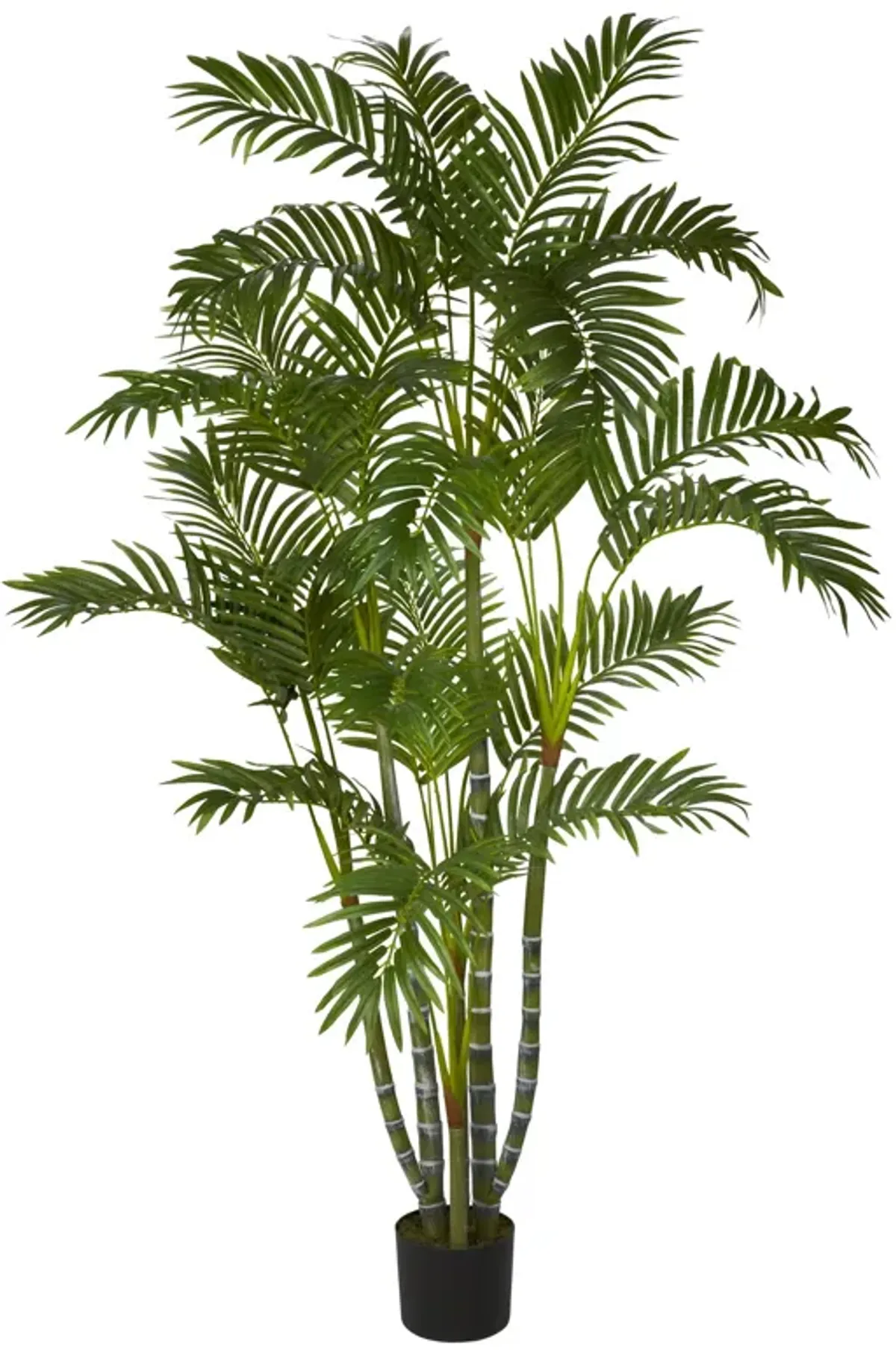 HomPlanti 5 Feet Areca Silk Tree