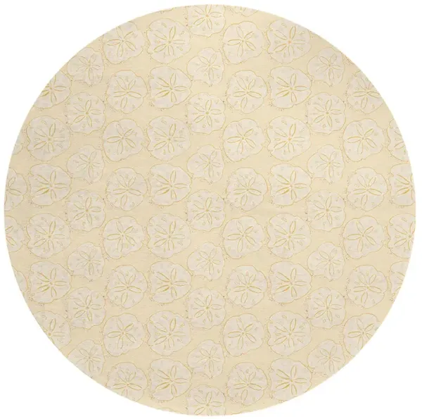 Seabreeze SZ10 Ivory 8' Rug