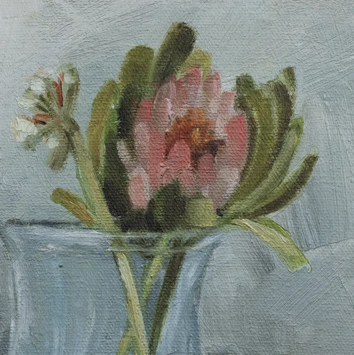 Protea Still Life