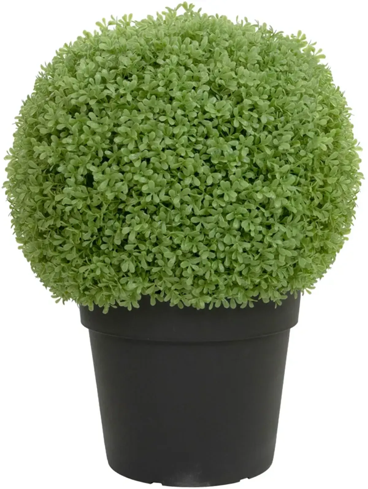 22" Artificial Boxwood Ball Topiary in Round Pot  Unlit