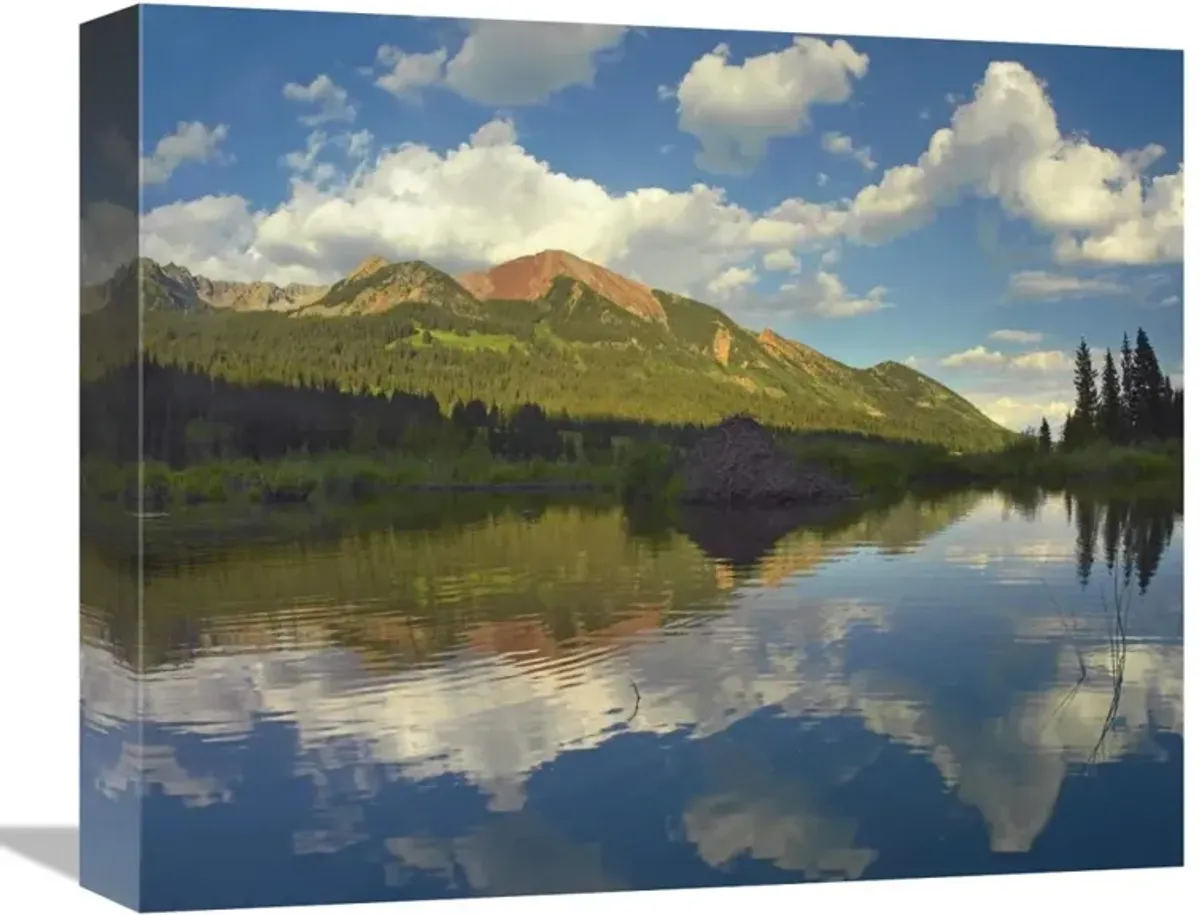 Avery Peak reflected in beaver pond, San Juan Mountains, Colorado-Canvas Art-16x13.28
