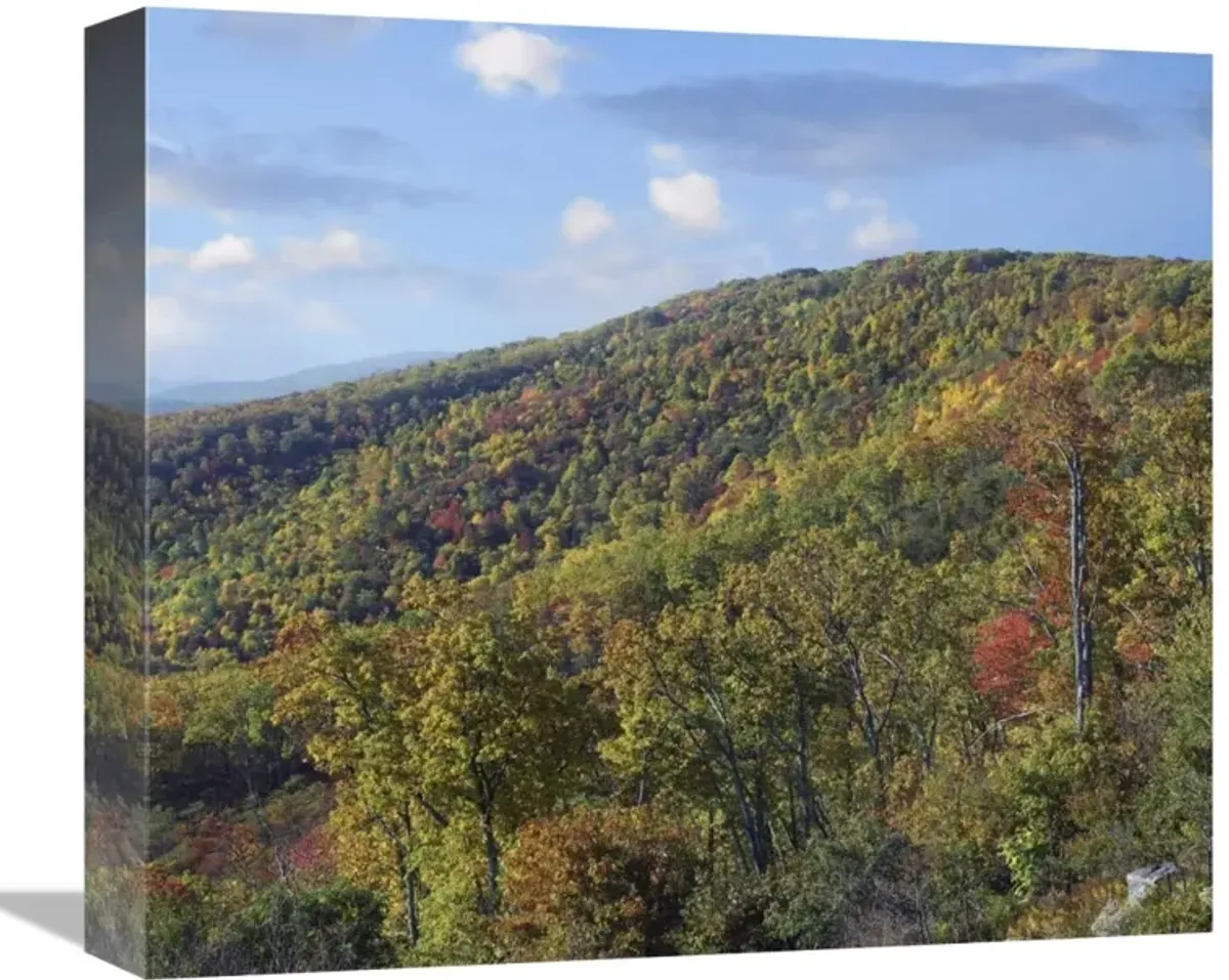 Blue Ridge Range from Moormans River Overlook, Shenandoah National Park, Virginia-Canvas Art-16x13.92