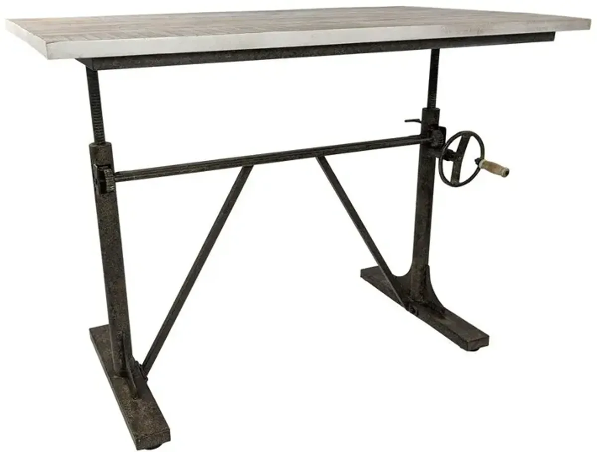 Carolina Living Brio Sit or Standing Adjustable Desk - Natural Driftwood Top - Aged Iron Base