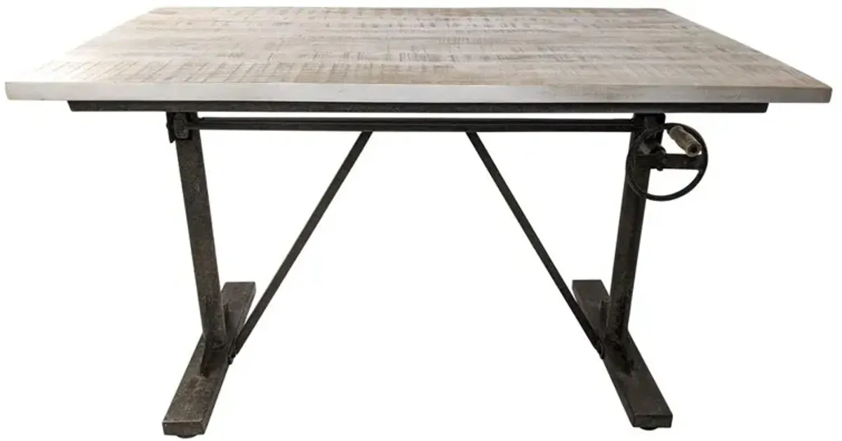 Carolina Living Brio Sit or Standing Adjustable Desk - Natural Driftwood Top - Aged Iron Base