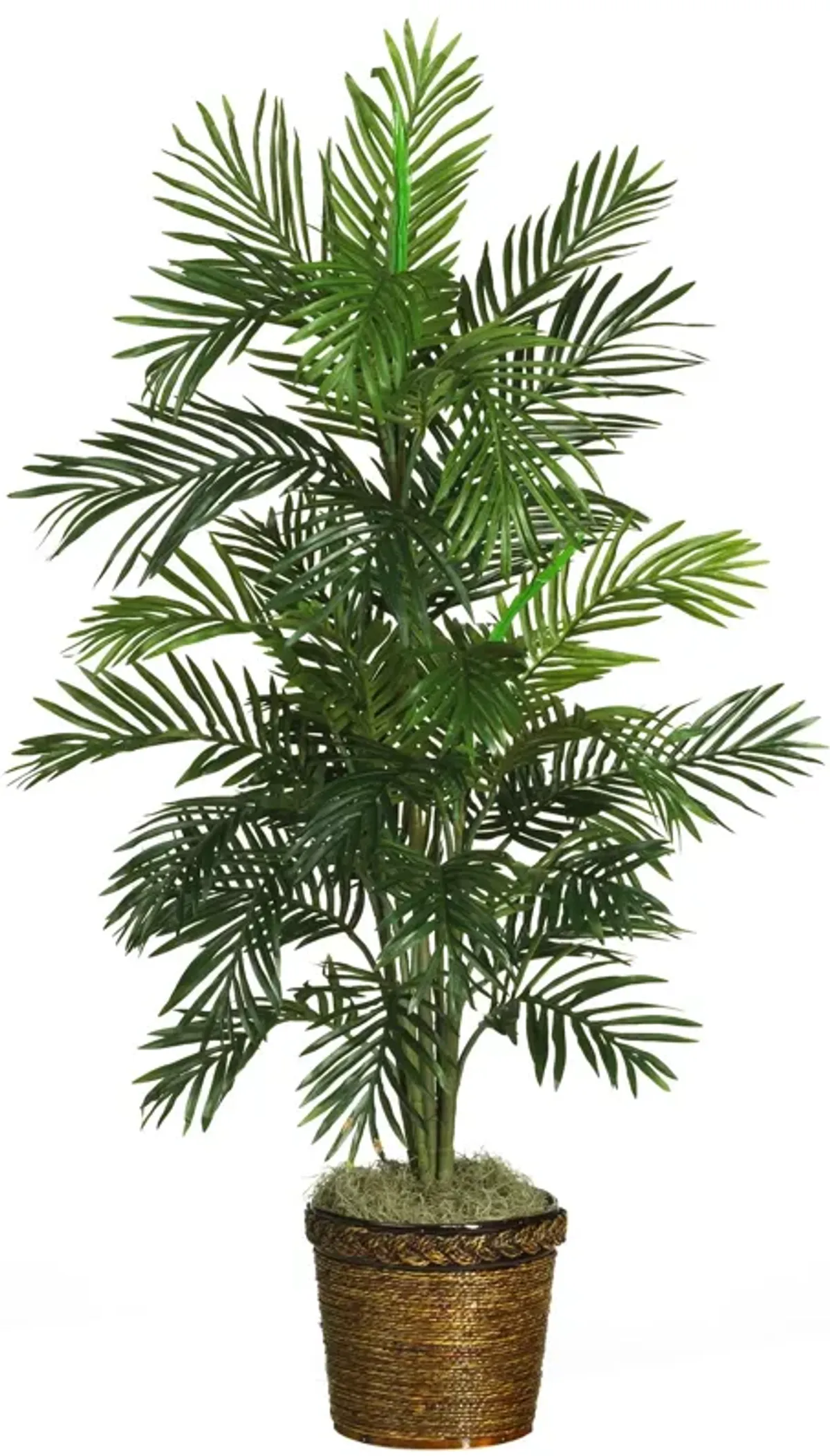 HomPlanti 56 Inches Areca Palm Silk Tree w/Basket