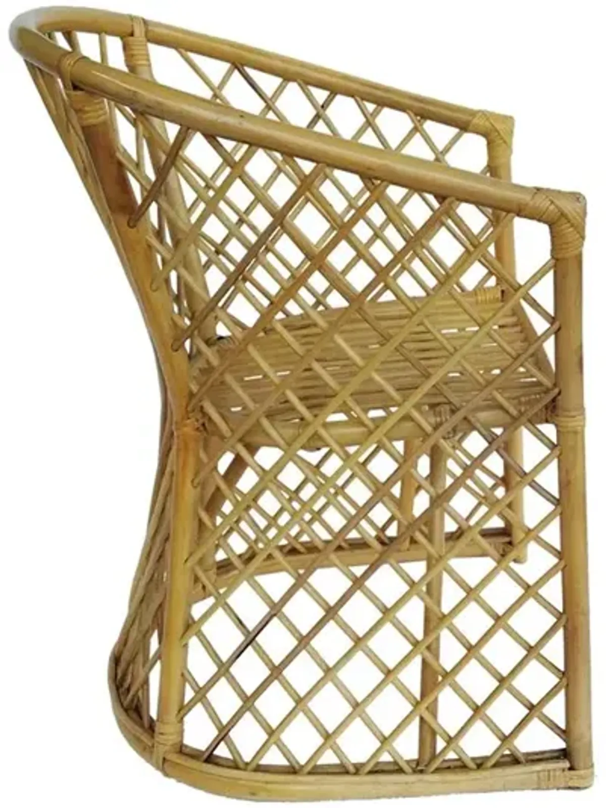 Rattan Palm Chair