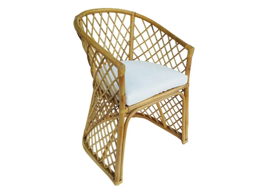 Rattan Palm Chair