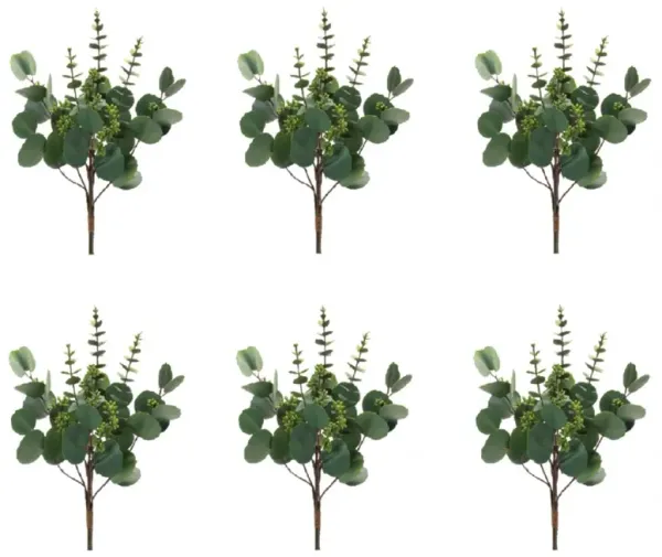 Mixed Eucalyptus Bundle Set of 6 for Floral Arrangements and Home Decor