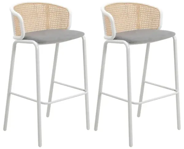 LeisureMod Seat and White Powder Coated Steel Frame, Set of 2