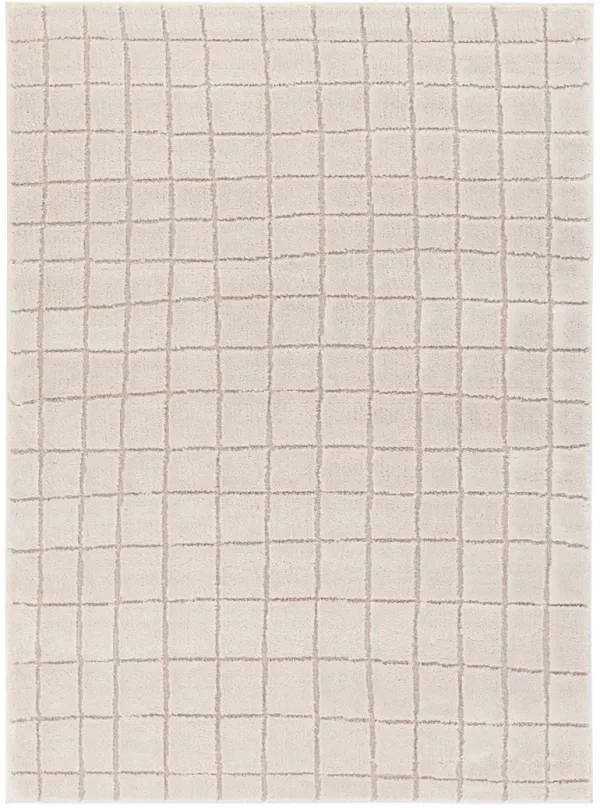 Anton Jaida 2'5"x10' Rnr Rug