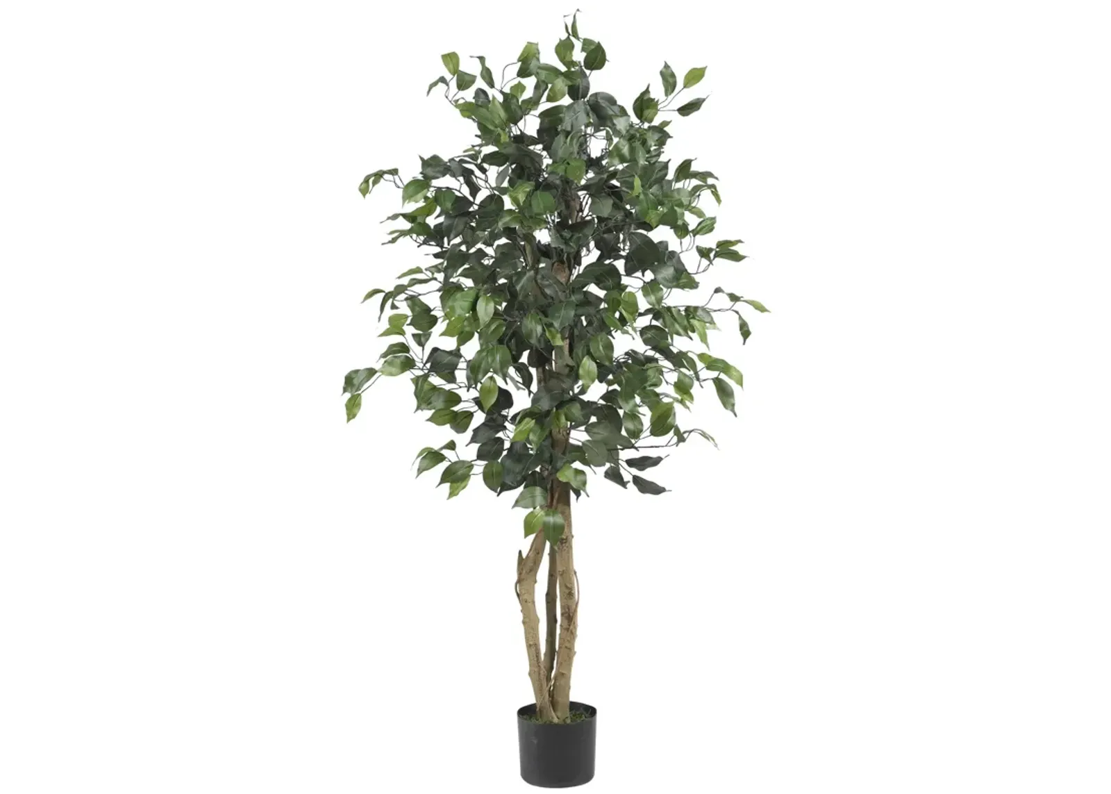 HomPlanti 4 Feet Ficus Silk Tree