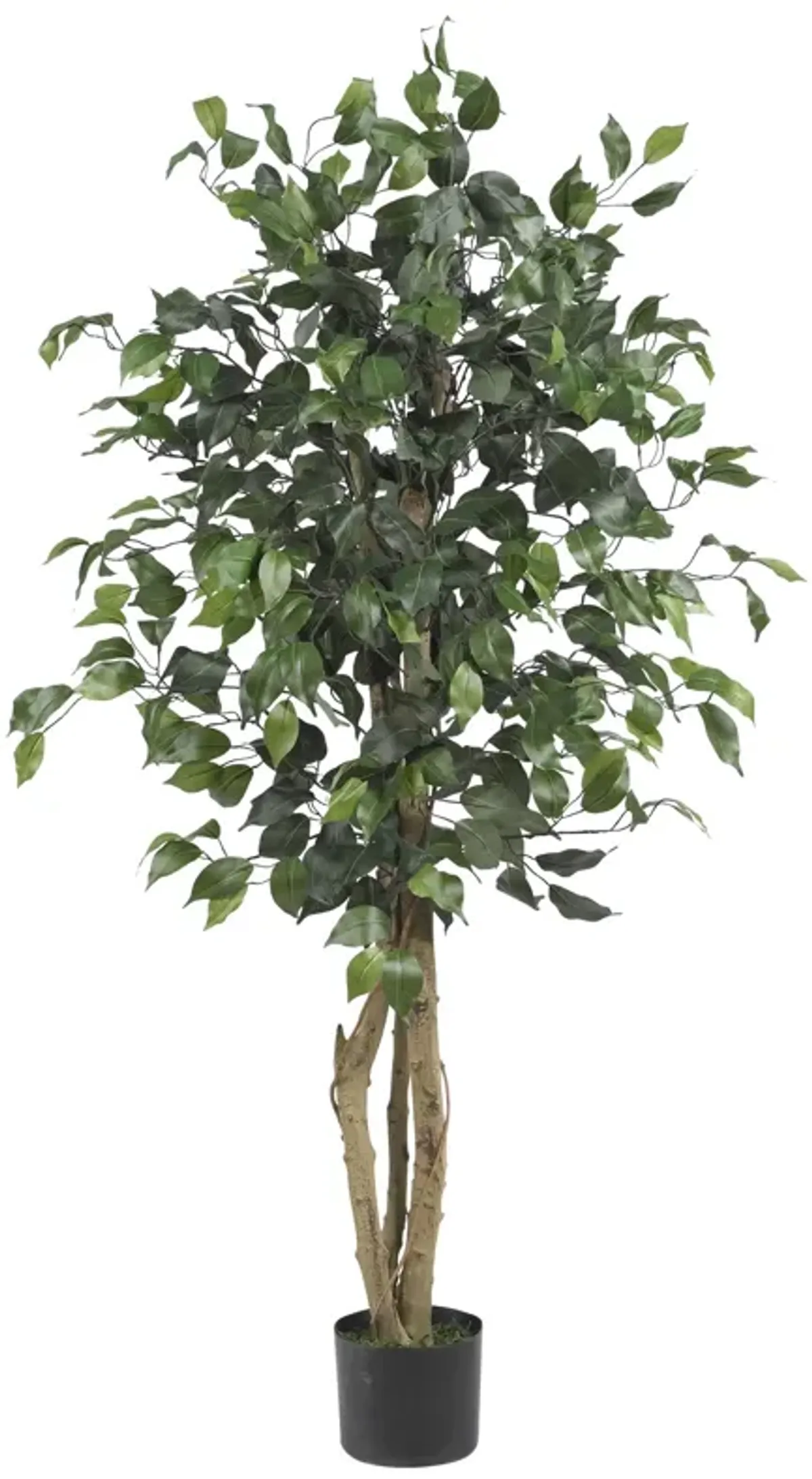 HomPlanti 4 Feet Ficus Silk Tree