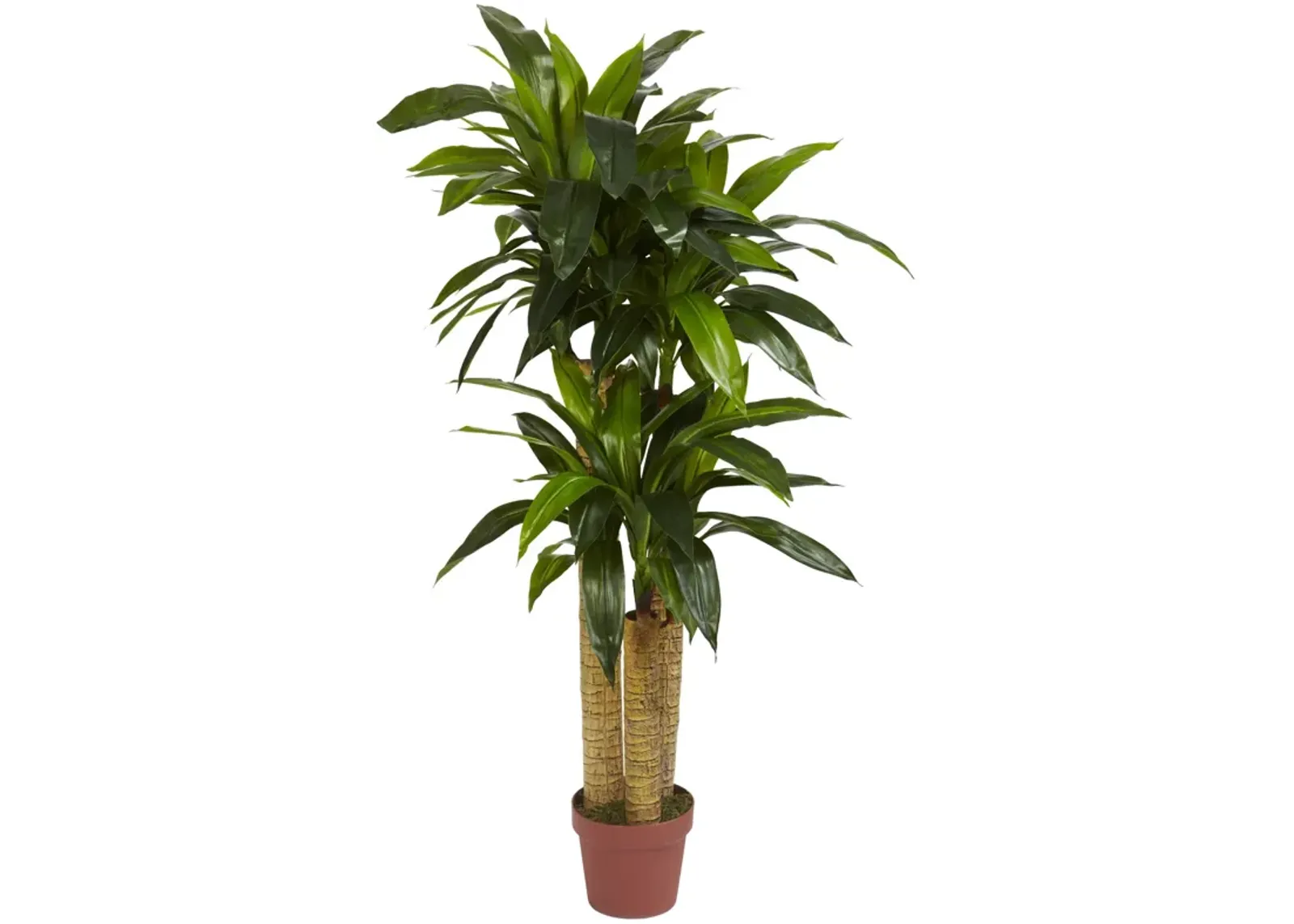 HomPlanti 4 Feet Corn Stalk Dracaena Silk Plant (Real Touch)