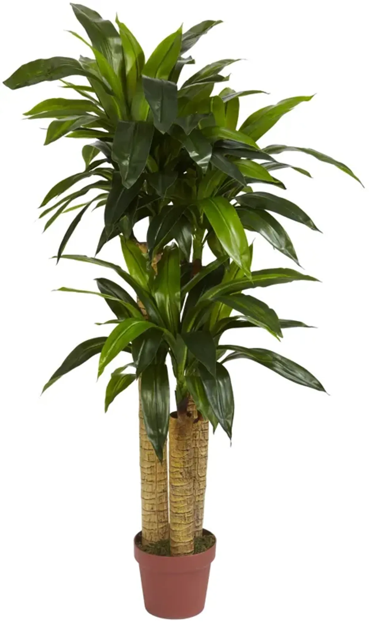 HomPlanti 4 Feet Corn Stalk Dracaena Silk Plant (Real Touch)