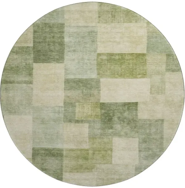 Pacifica PA12 Aloe 8' Rug