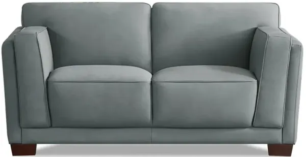 Marshall Top Grain Leather Loveseat