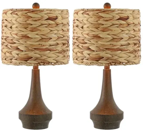 Theodore Rustic Farmhouse Handwoven Rattan/Resin LED Table Lamp