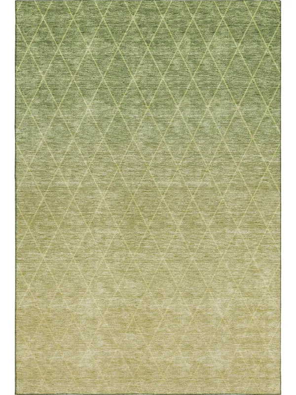 Lazio LZ2 Aloe 2'3" x 7'6" Rug