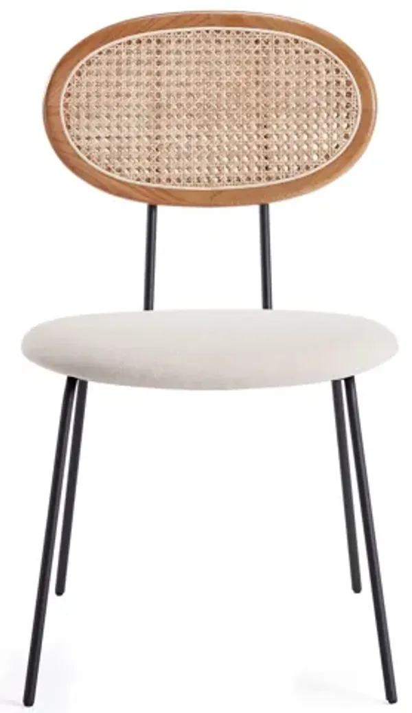 Jardin Brown Dining Chairs (Set of 2)