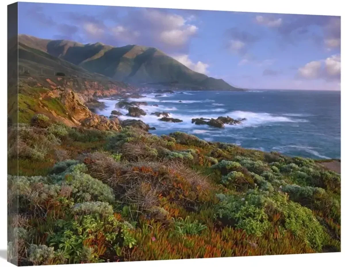 Cliffs and the Pacific Ocean, Garrapata State Beach, Big Sur, California-Canvas Art-28x22