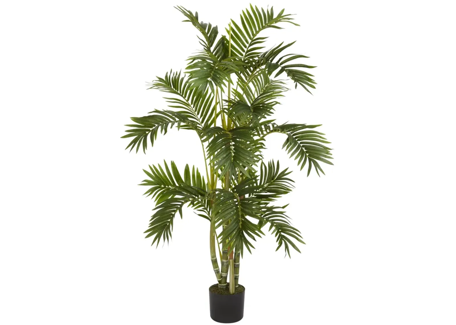 HomPlanti 4' Areca Palm Silk Tree