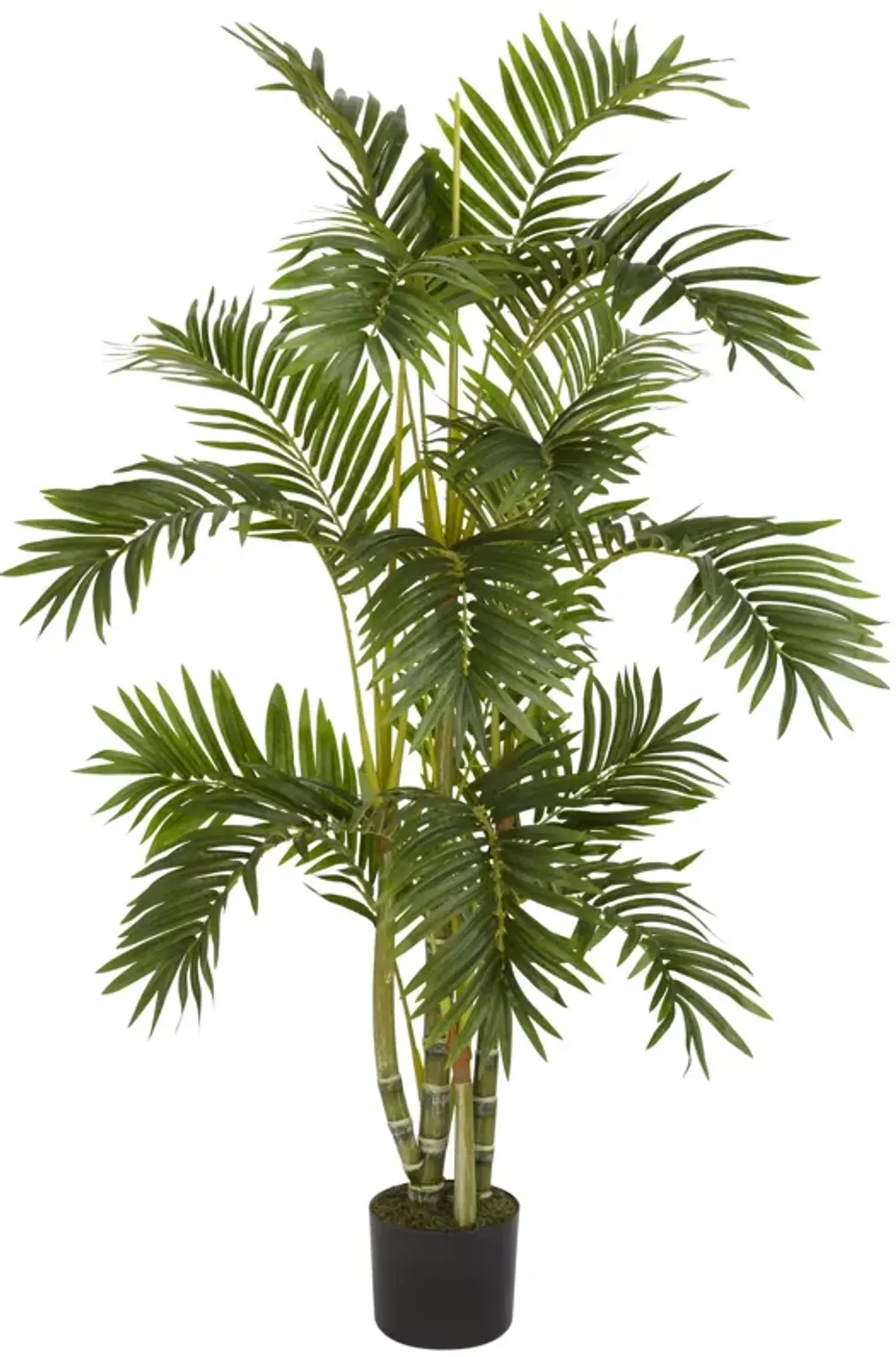 HomPlanti 4' Areca Palm Silk Tree