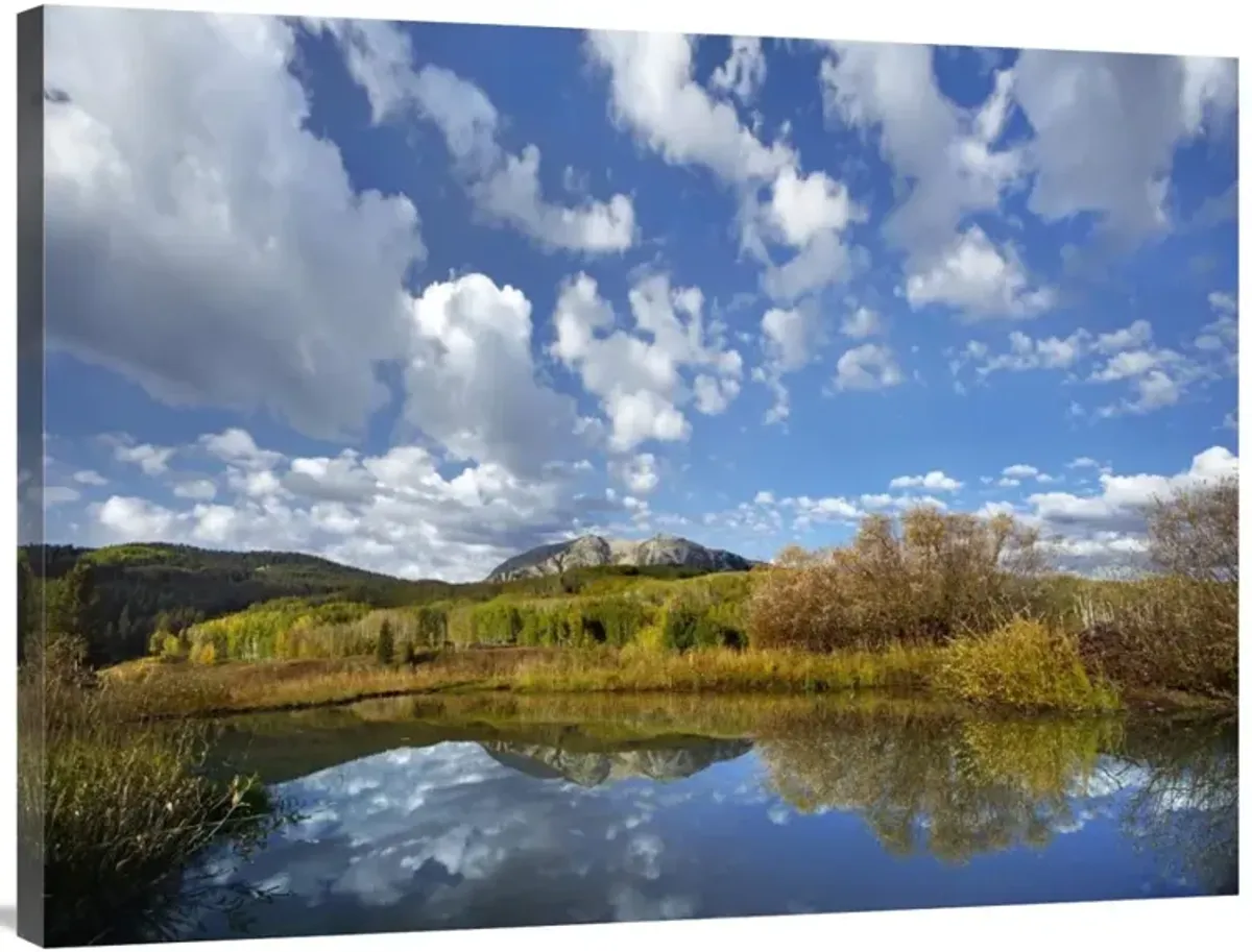 Pond near East Beckwith Mountain, West Elk Wilderness, Colorado-Canvas Art-40x30