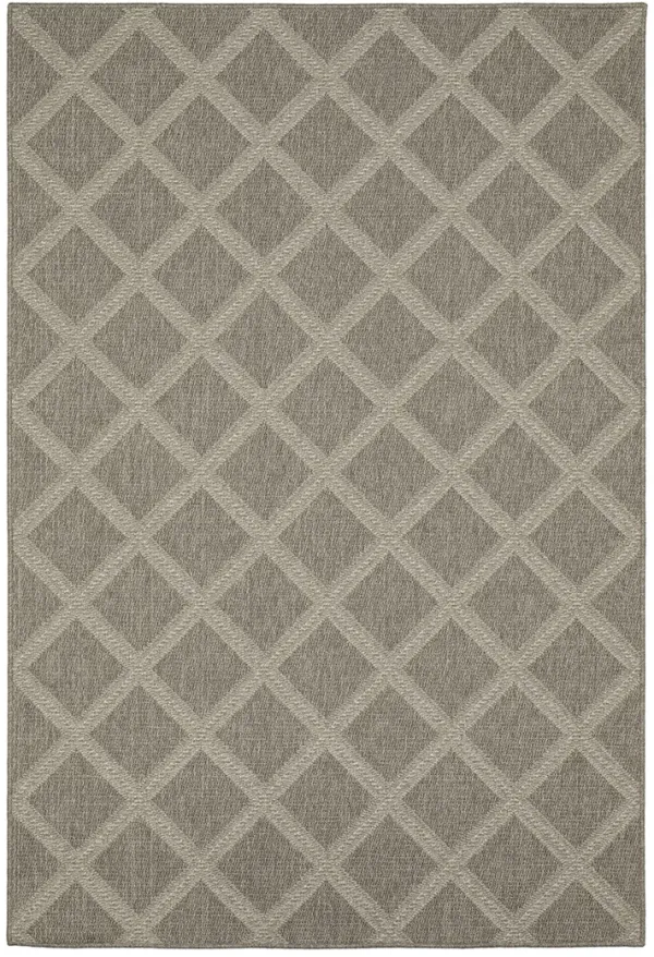 Caicos 3'3" x 5' Grey Rug