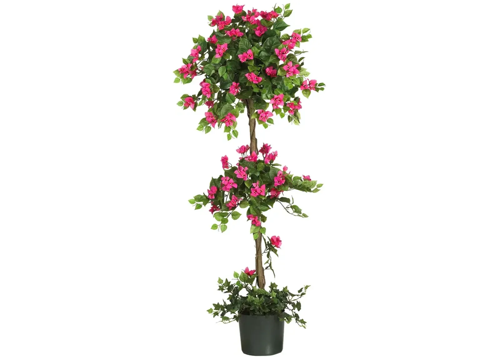 HomPlanti 5 Feet Mini Bougainvillea Topiary