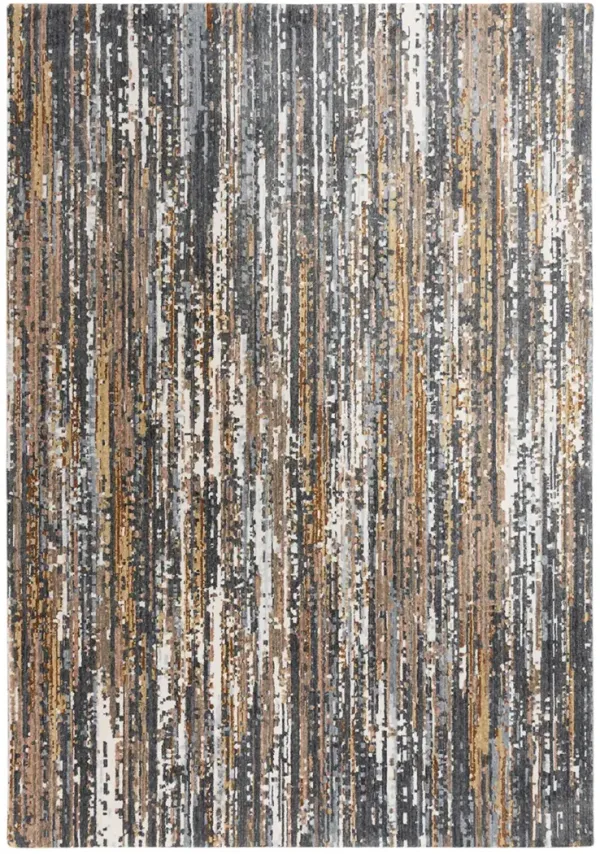 Jasper JAS734 5'2" x 7'9" Rug