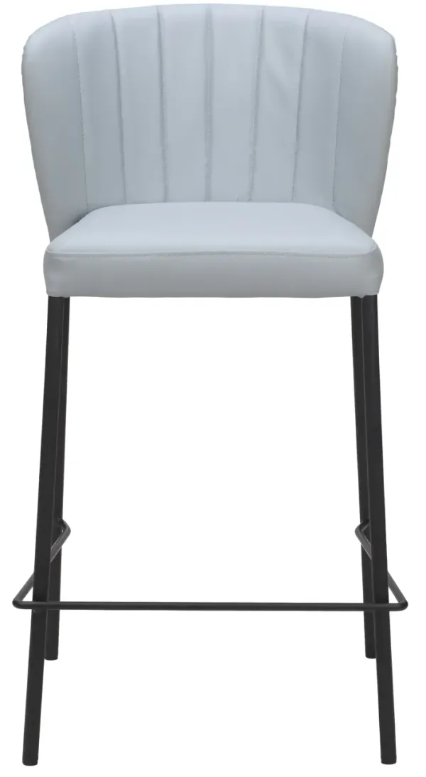 Linz Counter Stool (Set of 2) Gray