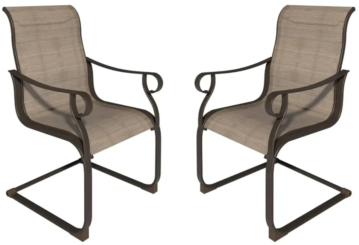 MONDAWE 2Pcs Steel Textiliene Spring Chairs Dining Chair For Patios