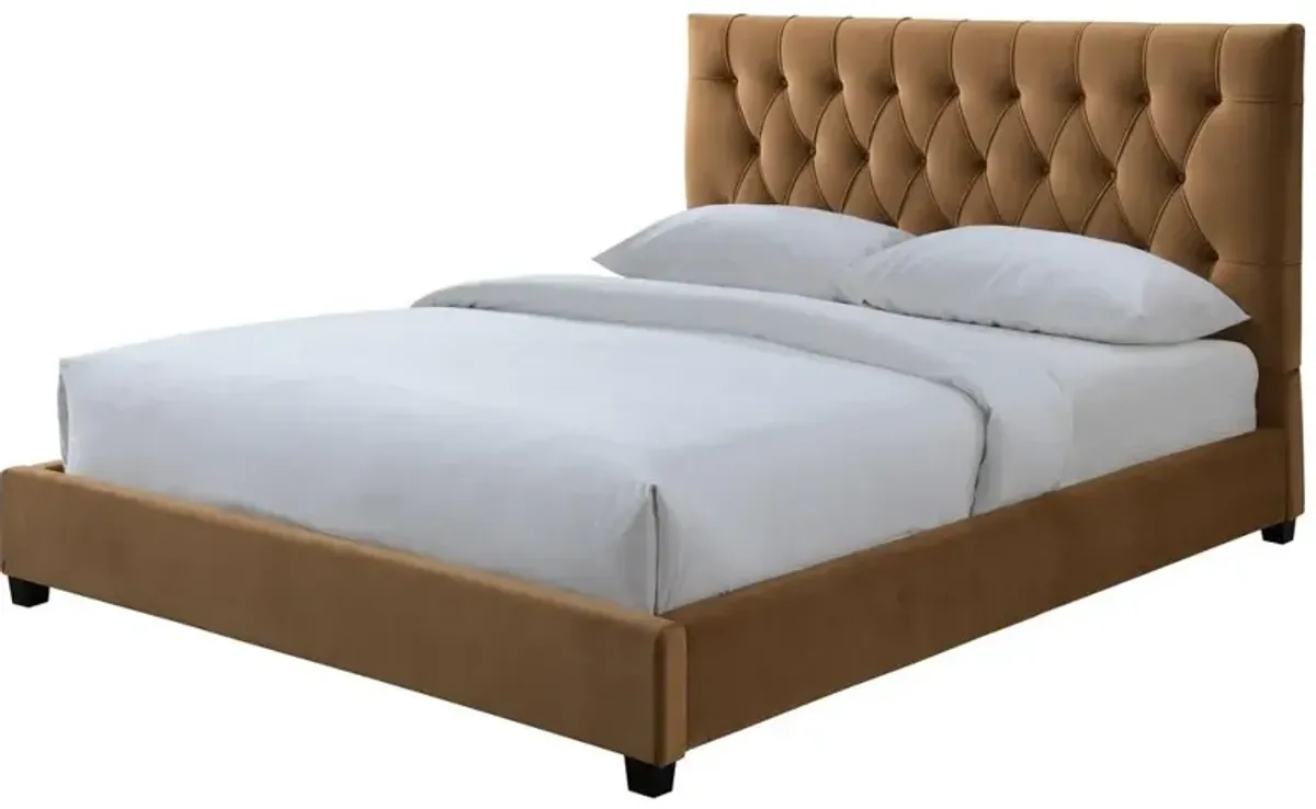 Ashcroft Furniture Co Donald Queen Upholstered Platform Bed