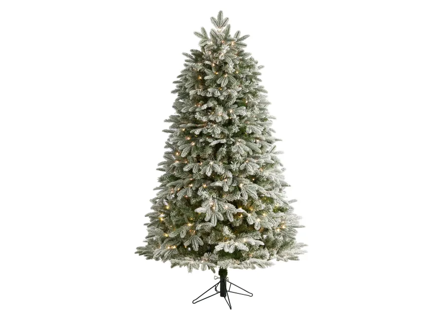 Nearly Natural 6-ft Flocked Colorado Mountain Fir Artificial Christmas Tree with 500 Warm White Microdot (Multifunction) LED Lights with Instant Connect Technology and 881 Bendable Branches