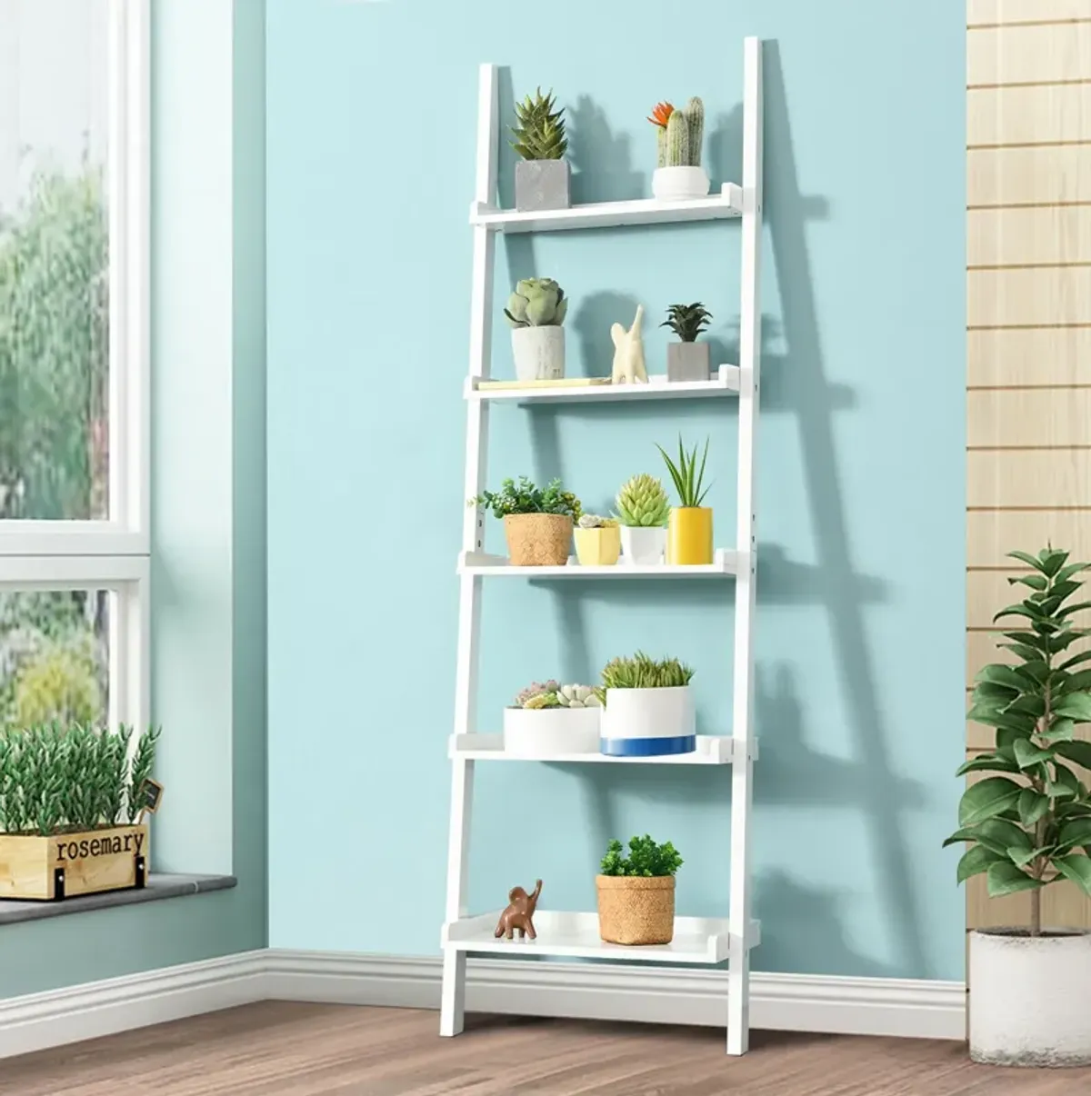 5-Tier Wall-leaning Ladder Shelf  Display Rack for Plants and Books