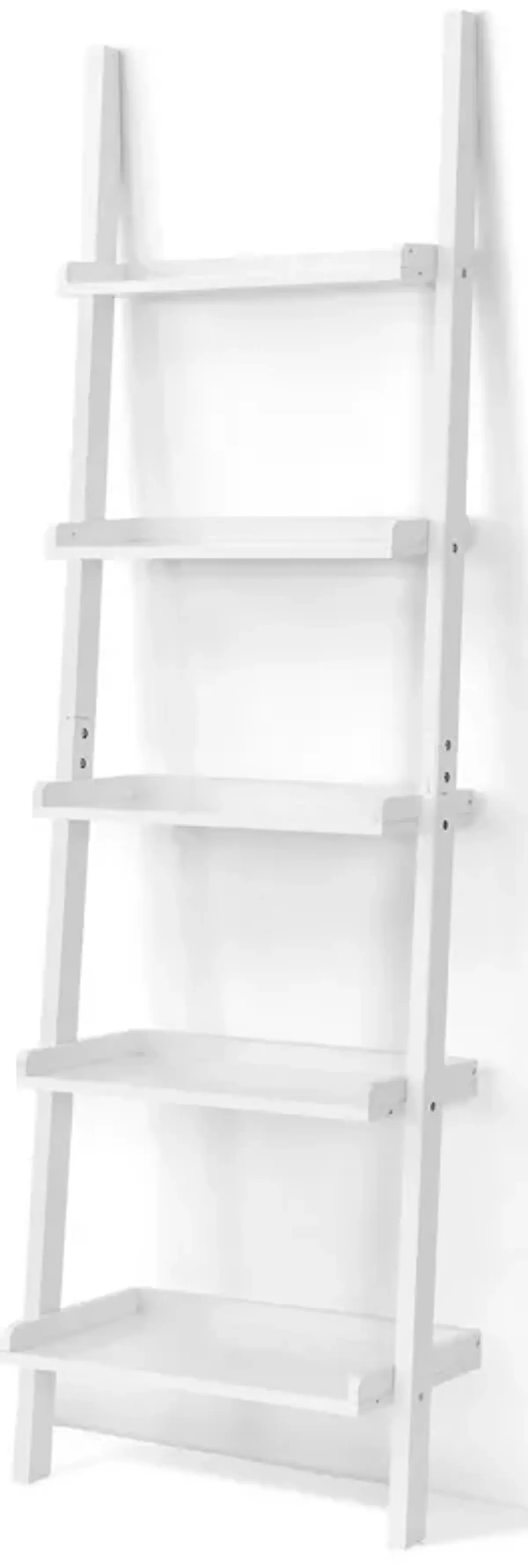 5-Tier Wall-leaning Ladder Shelf  Display Rack for Plants and Books