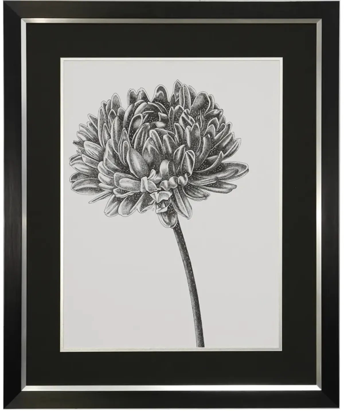 Bud Framed Print