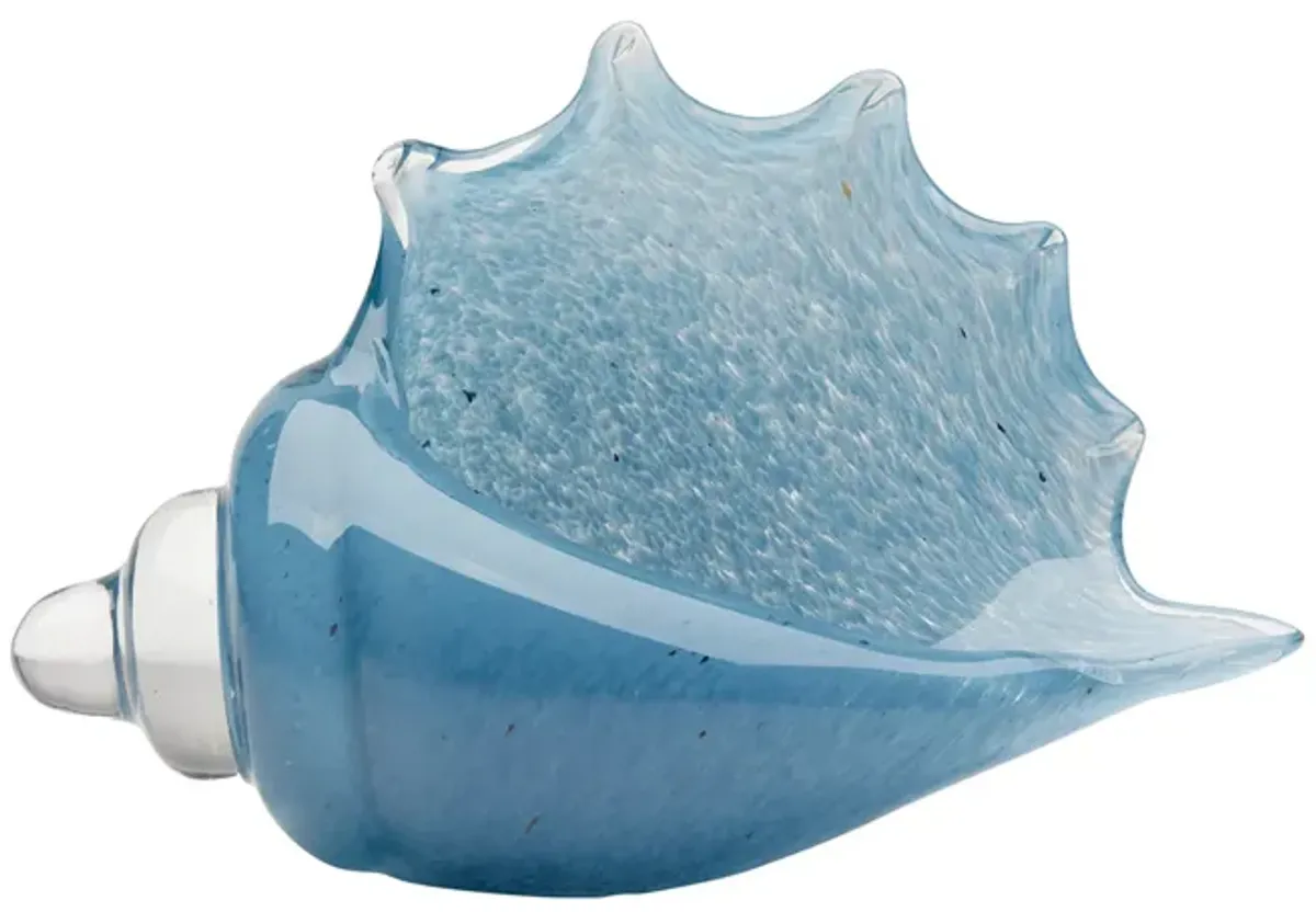 Triton Shell
