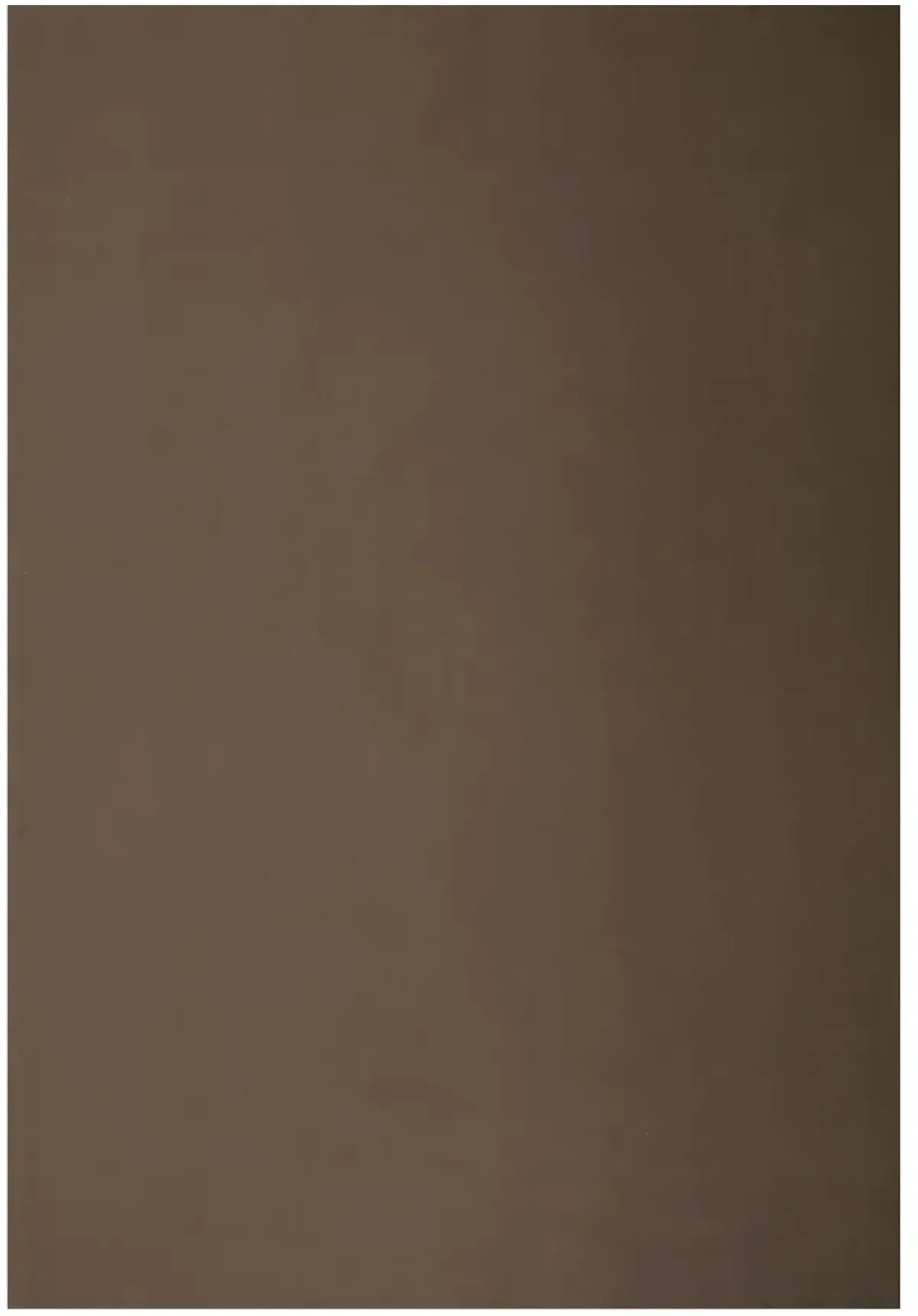 Premium 8' x 11' Rug Pad