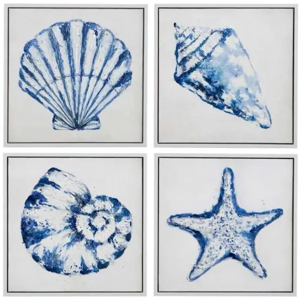 Shells Framed Canvas (Set of 4)