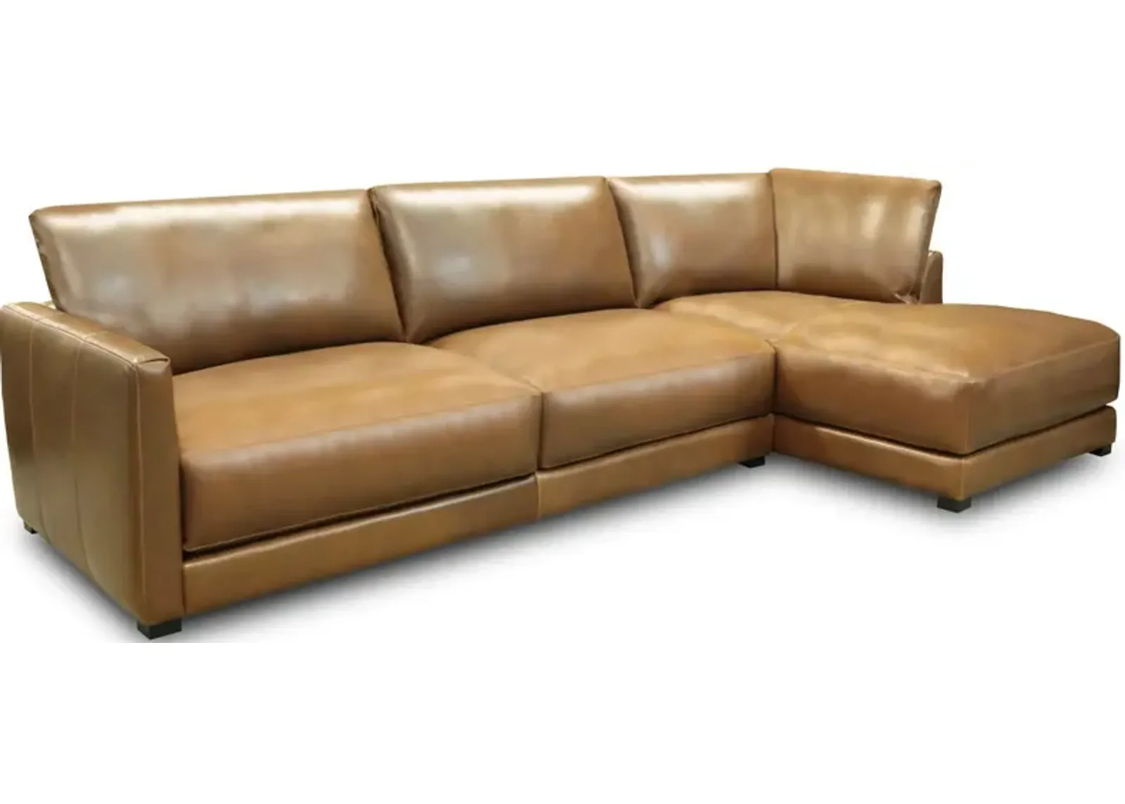 Raffa Sectional with Right Arm Chaise